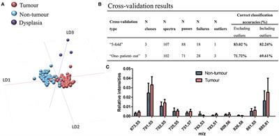 Mass Spectrometry-Based Differentiation of Oral Tongue Squamous Cell Carcinoma and Nontumor Regions With the SpiderMass Technology